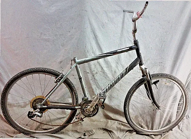 2008 Specialized Expedition Comfort Hybrid Bike Large Chromoly Triple!