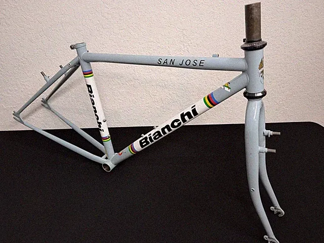 Bianchi San Jose Frame & fork | Single Speed, Fixed | Steel | X Small, CELESTE!