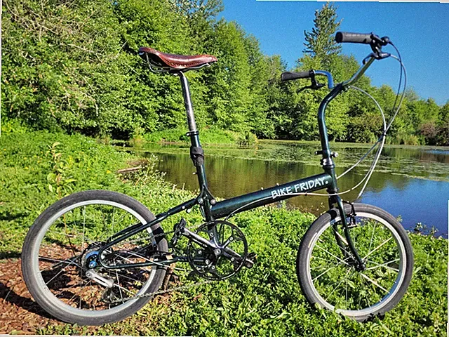 Bike Friday Pocket Llama Alfine 8