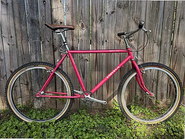 Univega Alpina Uno Large Mountain Bike, Single Speed, Surly Hubs, Dia Compe